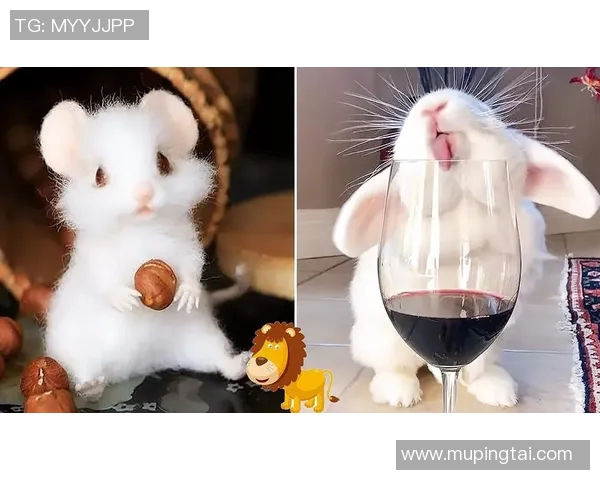 猫店里的足球明星与萌宠的奇妙冒险之旅