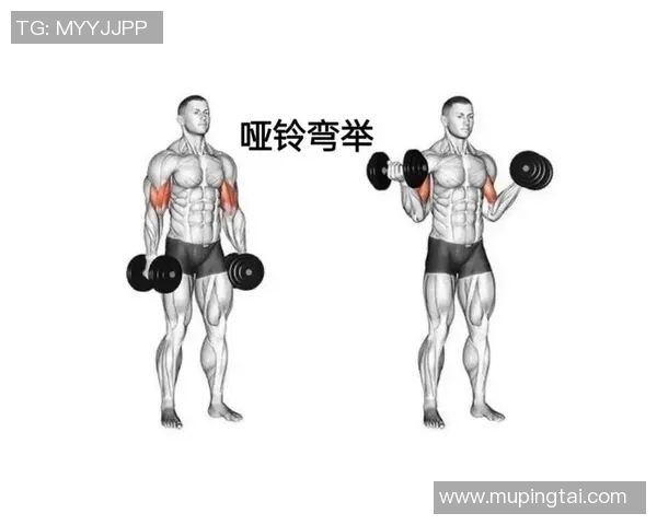 提升力量与塑形的哑铃健身课程视频全攻略助你轻松打造完美身材